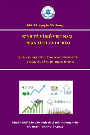 Kinh tế vĩ mô việt nam phân tích và dự báo tập 7 năm 2021 xu hướng dòng vốn đầu tư trong bối cảnh đại dịch covid19 nguyễn đức trung và nh ng kh