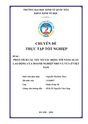 Chuyên đề thực tập tốt nghiệp phân tích các yếu tố tác động tới năng suất lao động của doanh nghiệp nhỏ và vừa ở việt nam