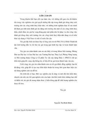 Luận án thạc sĩ khoa học môi trường nghiên cứu dòng chảy môi trường trong các dự án thủy điện nhỏ ở việt nam