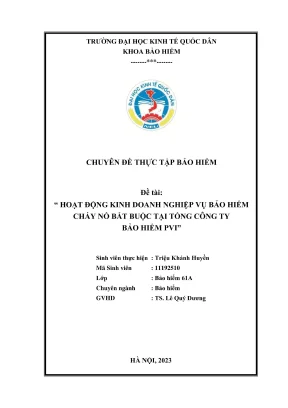 Chuyên đề thực tập hoạt động kinh doanh nghiệp vụ bảo hiểm cháy nổ bắt buộc tại tổng công ty bảo hiểm pvi