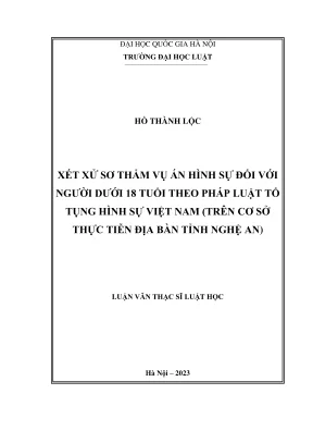 Luận văn thạc sĩ luật học xét xử sơ thẩm vụ án hình sự đối với người dưới 18 tuổi theo pháp luật tố tụng hình sự việt nam trên cơ sở thực tiễn địa bàn tỉnh nghệ an