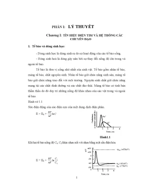 Luận văn dòng sinh học và tín hiệu điện tim