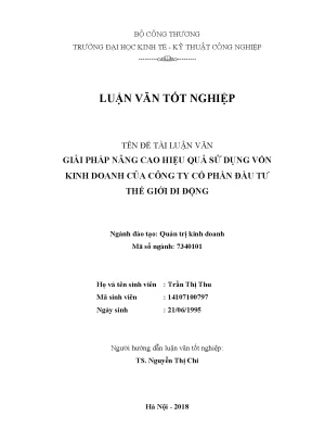 Luận văn thạc sĩ hubt giải pháp nâng cao hiệu quả sử dụng vốn kinh doanh của công ty cổ phần đầu tư thế giới di động