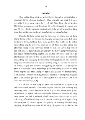 Luận văn nghiên cứu tổng hợp các phức feiii với các phối tử dạng salen và đánh giá hoạt tính gây độc tế bào ung thư