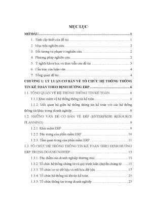 Luận văn tổ chức hệ thống thông tin kế toán theo định hướng erp tại công ty cổ phần thương mại nguyễn kim