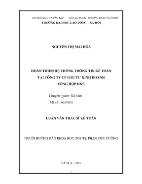 Luận văn hoàn thiện hệ thống thông tin kế toán tại công ty cp đầu tư kinh doanh tổng hợp d c