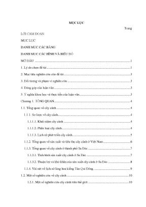 Luận văn điều tra cây cảnh tại phường tân qui đông thành phố sa đéc tỉnh đồng tháp