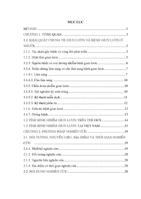 Luận văn nghiên cứu đặc điểm nhiễm giun lươn strongyloides ở các đối tượng khám và điều trị tại viện sốt rét kí sinh trùng côn trùng trung ương năm 2017 2018