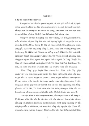 Luận văn thực hiện pháp luật bảo vệ rừng tại huyện trà bồng tỉnh quảng ngãi