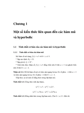 Luận văn một số dạng toán cực trị trong lớp hàm mũ và hàm hyperbolic