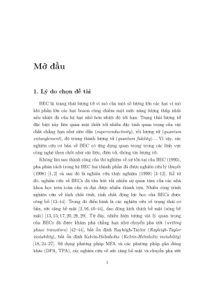 Luận văn nghiên cứu các hiệu ứng trong không gian giới hạn của ngưng tụ bose einstein hai thành phần