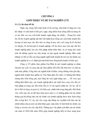 Luận văn phân tích báo cáo tài chính của công ty cổ phần thực phẩm gia phát
