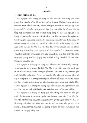 Luận văn nghiên cứu tổng hợp và ứng dụng phức chất đất hiếm lactat để tăng năng suất cho cây lúa cây ngô
