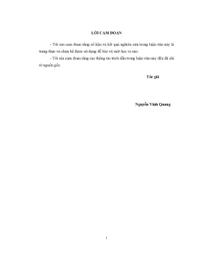 Luận văn một số giải pháp hoàn thiện và phát triển kênh phân phối sản phẩm dịch vụ của chi nhánh mobifone nam định
