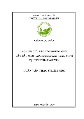 Luận văn tốt nghiệp nghiên cứu bảo tồn nguồn gen cây râu mèo orthosiphon spiralis lour merr tại tỉnh thái nguyên