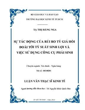 Luận văn thạc sĩ sự tác động của rủi ro tỷ giá hối đoái tới tỷ suất sinh lợi và việc sử dụng công cụ phái sinh