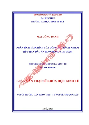 Luận văn thạc sĩ phân tích tài chính của công ty trách nhiệm hữu hạn dầu ăn honoroad việt nam