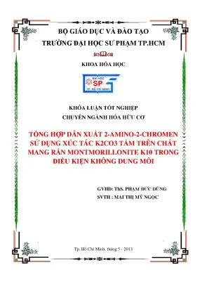 Luận văn thạc sĩ tổng hợp dẫn xuất 2 amino 2 chromen sử dụng xúc tác k2co3 tẩm trên chất mang rắn montmorillonite k10 trong điều kiện không dung môi