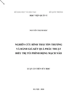 Luận án nghiên cứu hình thái tổn thương và đánh giá kết quả phẫu thuật điều trị túi phình động mạch nãoc