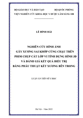 Luận án tiến sĩ nghiên cứu hình ảnh gãy xương sai khớp cùng chậu trên phim chụp cắt lớp vi tính dựng hình 3d và đánh giá kết quả điều trị bằng phẫu thuật kết xương bên trong