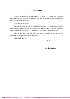 Luận văn thạc sĩ nghiên cứu tuyển chọn một số giống lúa thuần mới ngắn ngày năng suất cao chất lượng khá phục vụ sản xuất tại bình định