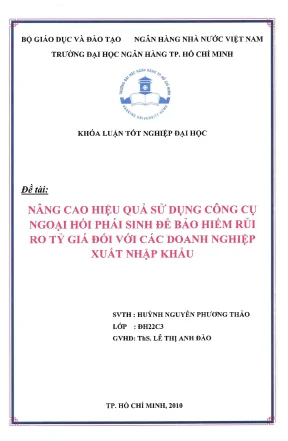 Luận văn thạc sĩ nâng cao hiệu quả sử dụng công cụ ngoại hối phái sinh để bảo hiểm rủi ro tỷ giá đối với các doanh nghiệp xuất nhập khẩu