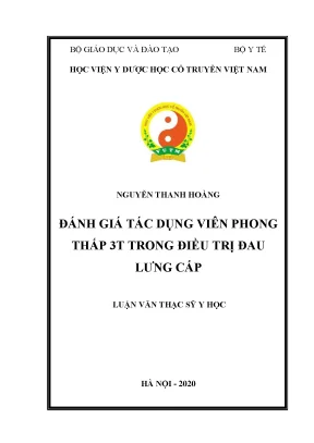Luận văn thạc sĩ đánh giá tác dụng viên phong thấp 3t trong điều trị đau lưng cấp