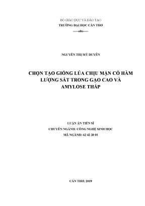 Luận án tiến sĩ chọn tạo giống lúa chịu mặn có hàm lượng sắt trong gạo cao và amylose thấp