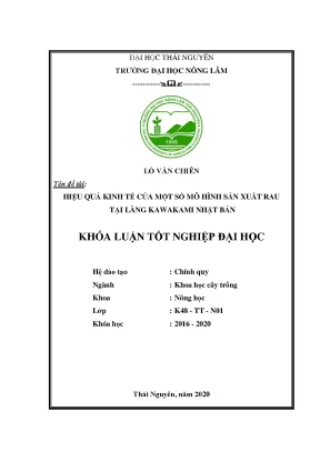 Luận văn tốt nghiệp hiệu quả kinh tế của một số mô hình sản xuất rau tại làng kawakami nhật bản