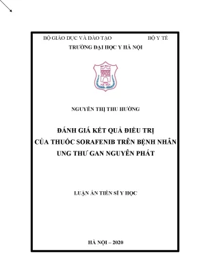 Luận án tiến sĩ đánh giá kết quả điều trị của thuốc sorafenib trên bệnh nhân ung thư gan nguyên phát