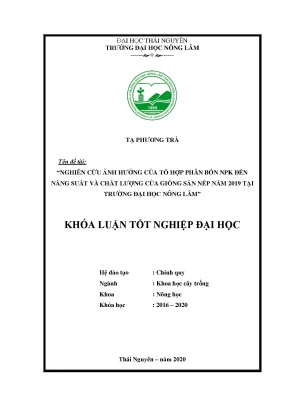 Luận văn tốt nghiệp nghiên cứu ảnh hưởng của tổ hợp phân bón npk đến năng suất và chất lượng của giống sắn nếp năm 2019 tại trường đại học nông lâm