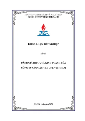 Luận văn tốt nghiệp đánh giá hiệu quả kinh doanh của công ty cổ phần the one việt nam