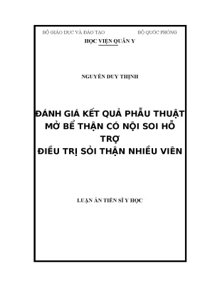 Luận án đánh giá kết quả phẫu thuật mở bể thận có nội soi hỗ trợ điều trị sỏi thận nhiều viên