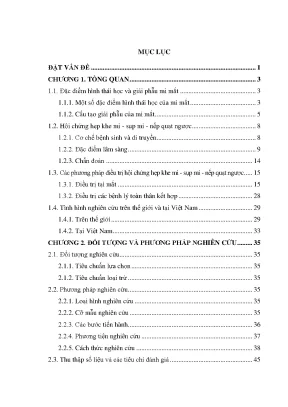 Luận án nghiên cứu đặc điểm lâm sàng và kết quả phẫu thuật điều trị hội chứng hẹp khe mi sụp mi nếp quạt ngược