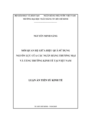 Luận văn thạc sĩ mối quan hệ giữa hiệu quả sử dụng nguồn lực của các ngân hàng thương mại và tăng trưởng kinh tế tại việt nam