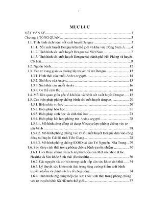 Luận án tiến sĩ thực trạng và hiệu quả ứng dụng tiếp cận sức khỏe sinh thái trong phòng chống sốt xuất huyết dengue tại khu du lịch cát bà hải phòng