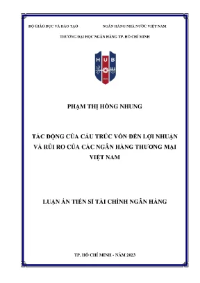 Luận án tiến sĩ tác động của cấu trúc vốn đến lợi nhuận và rủi ro của các ngân hàng thương mại việt nam