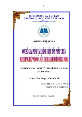 Luận văn thạc sĩ một số giải pháp tài chính thúc đẩy phát triển doanh nghiệp nhỏ và vừa tại thành phố hố chí minh luận văn thạc sĩ