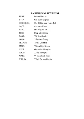 Luận án các tội xâm phạm chế độ hôn nhân và gia đình theo pháp luật hình sự việt nam từ thực tiễn thành phố hồ chí minh
