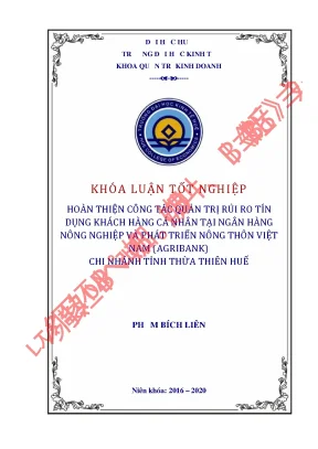 Luận văn tốt nghiệp hoàn thiện công tác quản trị rủi ro tín dụng khách hàng cá nhân tại ngân hàng nông nghiệp và phát triển nông thôn việt nam agribank chi nhánh tỉnh thừa thiên huế