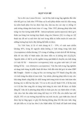 Luận án nghiên cứu hiệu quả điều trị vô sinh nam bằng phương pháp tiêm tinh trùng đông lạnh thu nhận từ pesa vào bào tương noãn tại bệnh viện phụ sản trung ương