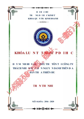 Luận văn tốt nghiệp đẩy mạnh hiệu quả tiêu thụ tôn tại công ty trách nhiệm hữu hạn nguyễn danh trên địa bàn thừa thiên huế