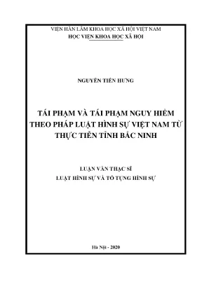 Luận án tiến sĩ tái phạm và tái phạm nguy hiểm theo pháp luật hình sự việt nam từ thực tiễn tỉnh bắc ninh