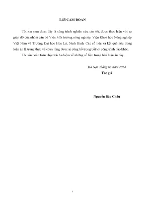 Luận án nghiên cứu ứng dụng vi sinh vật xử lý mùn cưa làm cơ chất nuôi trồng mộc nhĩ và tái sử dụng bã thải để trồng nấm sò