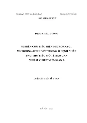Luận án tiến sĩ nghiên cứu biểu hiện microrna 21 microrna 122 huyết tương ở bệnh nhân ung thư biểu mô tế bào gan nhiễm vi rút viêm gan b