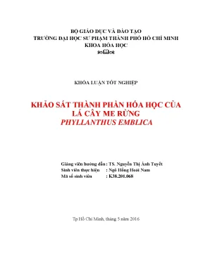 Luận văn thạc sĩ khảo sát thành phần hóa học của lá cây me rừng phyllanthus emblica