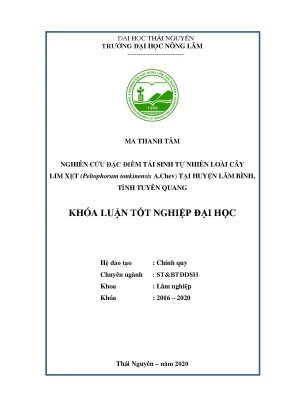 Luận văn tốt nghiệp nghiên cứu đặc điểm tái sinh tự nhiên loài cây lim xẹt peltophorum tonkinensis a chev tại huyện lâm bình tỉnh tuyên quang