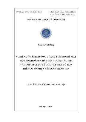 Luận án tiến sĩ nghiên cứu ảnh hưởng của sự biến đổi bề mặt một số khoáng chất đến tương tác pha và tính chất cơ lý của vật liệu tổ hợp trên cơ sở nhựa nền polypropylen