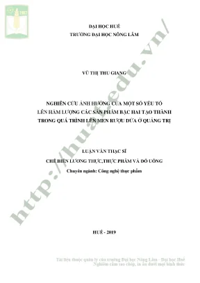 Luận văn thạc sĩ nghiên cứu ảnh hưởng của một số yếu tố lên hàm lượng các sản phẩm bậc hai tạo thành trong quá trình lên men rượu dứa ở quảng trị