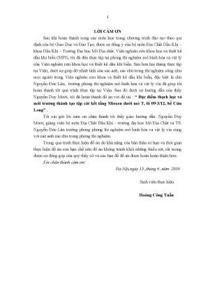 Luận văn tốt nghiệp đặc điểm thạch học và môi trường thành tạo tập cát kết tầng mioxen dưới mỏ t lô 09 3 12 bể cửu long